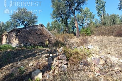 Helårsgrund i Monchique, Faro, Monchique - € 40.000 | Ref: AR00472 - PT - foto 3