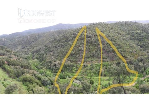 Helårsgrund i Monchique, Faro, Monchique - € 18.000 | Ref: AR00471 - PT - foto 3