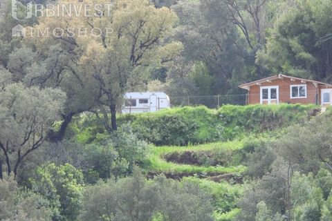 Helårsgrund i Monchique, Faro, Monchique - € 18.000 | Ref: AR00471 - PT - foto 5