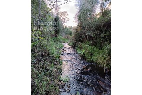 Helårsgrund i Monchique, Faro, Monchique - € 15.000 | Ref: AR00470 - PT - foto 7