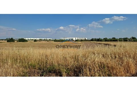 Erhvervsejendom i Evora, Evora, Evora - € 1.500.000 | Ref: 305 - foto 3