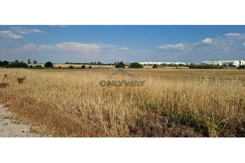 Erhvervsejendom i Evora, Evora, Evora - € 1.500.000 | Ref: 305 - foto 4