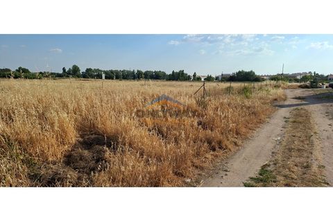 Erhvervsejendom i Evora, Evora, Evora - € 1.500.000 | Ref: 305 - foto 5
