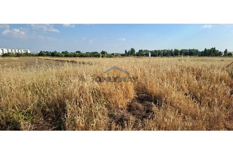 Erhvervsejendom i Evora, Evora, Evora - € 1.500.000 | Ref: 305 - foto 6
