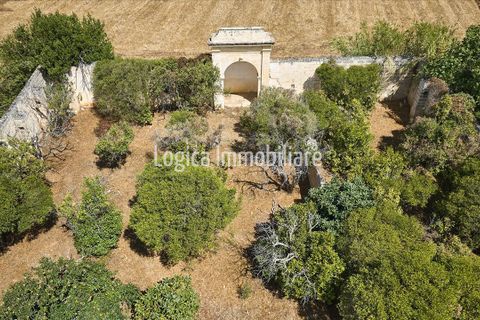 Villa a Nardo, Lecce, Nardo - € 290.000 | Ref: VL386 - foto 5