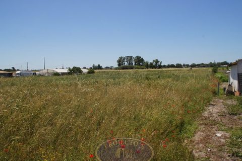 Helårsgrund i Alcochete, Setubal, Alcochete - € 150.000 | Ref: SÒL_7 - foto 6