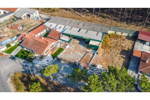 Villa i Pataias, Leiria, Pataias - € 750.000 | Ref: SAFTI:008024 - foto 22