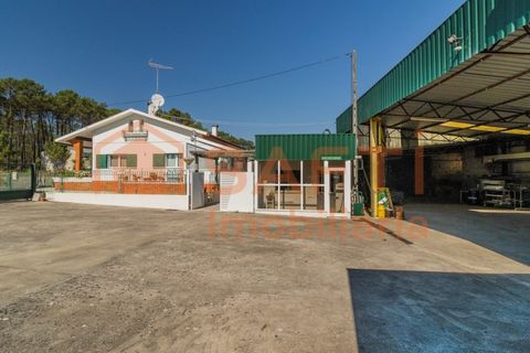 Villa i Pataias, Leiria, Pataias - € 750.000 | Ref: SAFTI:008024 - foto 39