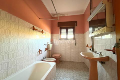 Villa a Asseiceira, Santarem, Asseiceira - € 190.000 | Ref: 01544-25 - foto 16