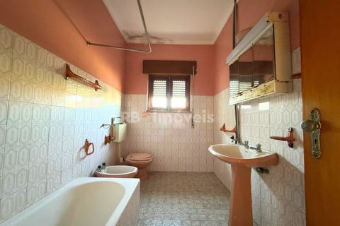 Villa a Asseiceira, Santarem, Asseiceira - € 190.000 | Ref: 01544-25 - foto 18