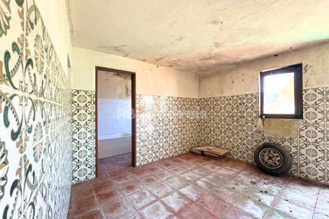 Villa a Asseiceira, Santarem, Asseiceira - € 190.000 | Ref: 01544-25 - foto 44