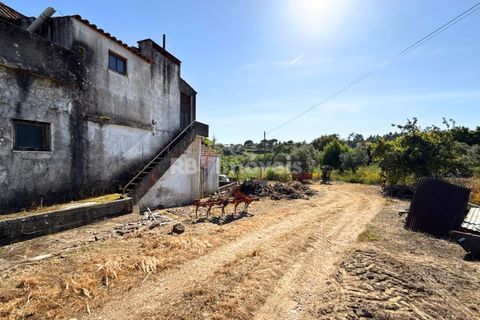 Villa a Asseiceira, Santarem, Asseiceira - € 190.000 | Ref: 01544-25 - foto 50