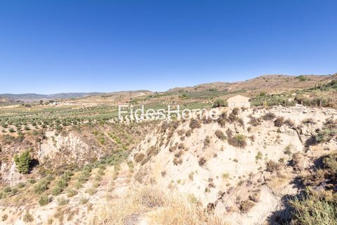 Landejendom i El Valle, Granada - foto 2