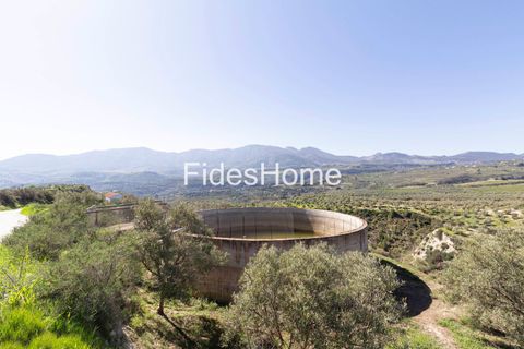 Landejendom i El Valle, Granada - foto 5