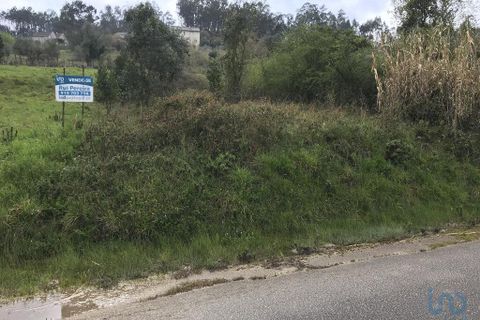 Tomt i Pombal, Leiria, Pombal - € 12 500 | Ref: 114873 - foto 3