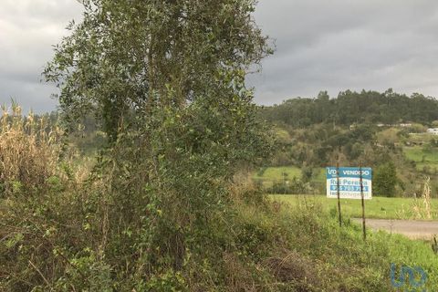 Tomt i Pombal, Leiria, Pombal - € 12 500 | Ref: 114873 - foto 4