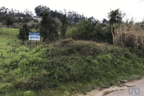 Tomt i Pombal, Leiria, Pombal - € 12 500 | Ref: 114873 - foto 6