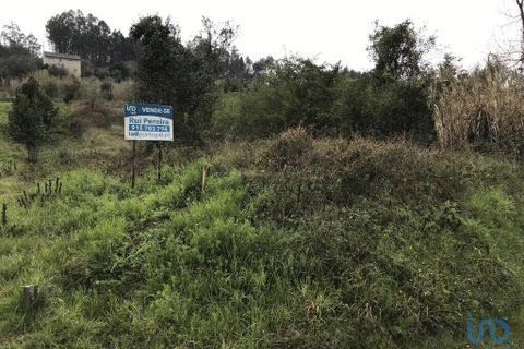 Tomt i Pombal, Leiria, Pombal - € 12 500 | Ref: 114873 - foto 7