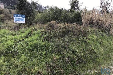 Tomt i Pombal, Leiria, Pombal - € 12 500 | Ref: 114873 - foto 8