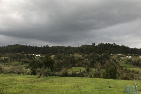 Tomt i Pombal, Leiria, Pombal - € 12 500 | Ref: 114873 - foto 9