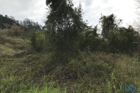 Tomt i Pombal, Leiria, Pombal - € 12 500 | Ref: 114873 - foto 11