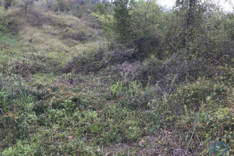Tomt i Pombal, Leiria, Pombal - € 12 500 | Ref: 114873 - foto 14