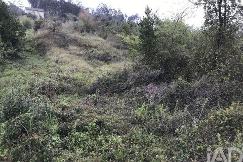 Tomt i Pombal, Leiria, Pombal - € 12 500 | Ref: 114873 - foto 16