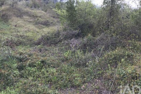 Tomt i Pombal, Leiria, Pombal - € 12 500 | Ref: 114873 - foto 17