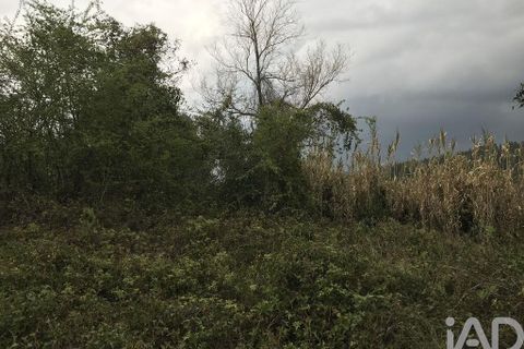 Tomt i Pombal, Leiria, Pombal - € 12 500 | Ref: 114873 - foto 18