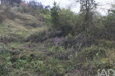 Tomt i Pombal, Leiria, Pombal - € 12 500 | Ref: 114873 - foto 20