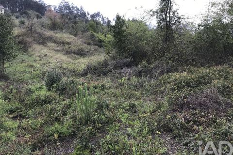Tomt i Pombal, Leiria, Pombal - € 12 500 | Ref: 114873 - foto 21