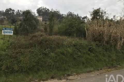 Tomt i Pombal, Leiria, Pombal - € 12 500 | Ref: 114873 - foto 23