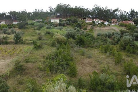 Tomt i Pombal, Leiria, Pombal - € 12 500 | Ref: 114873 - foto 25