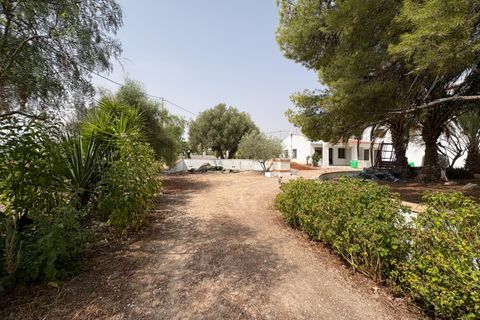 Villa a Novelda, Alicante, Novelda - € 399.999 | Ref: EXP11255/8930 - foto 7