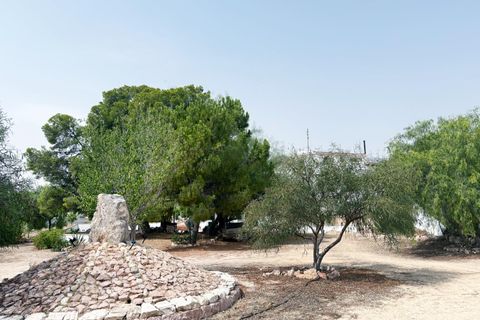 Villa a Novelda, Alicante, Novelda - € 399.999 | Ref: EXP11255/8930 - foto 11