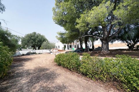 Villa a Novelda, Alicante, Novelda - € 399.999 | Ref: EXP11255/8930 - foto 46
