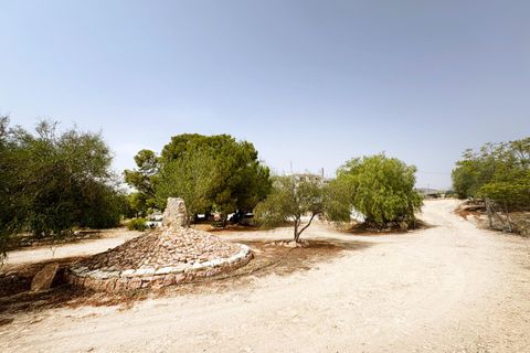 Villa a Novelda, Alicante, Novelda - € 399.999 | Ref: EXP11255/8930 - foto 50