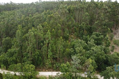 Helårsgrund i Pombal, Leiria, Pombal - € 12.000 | Ref: 114876 - foto 1