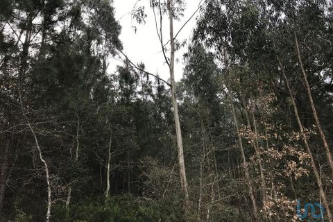 Helårsgrund i Pombal, Leiria, Pombal - € 12.000 | Ref: 114876 - foto 3