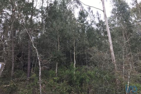 Helårsgrund i Pombal, Leiria, Pombal - € 12.000 | Ref: 114876 - foto 7