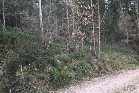 Helårsgrund i Pombal, Leiria, Pombal - € 12.000 | Ref: 114876 - foto 8