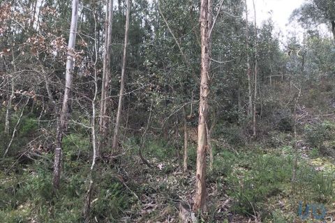 Helårsgrund i Pombal, Leiria, Pombal - € 12.000 | Ref: 114876 - foto 9