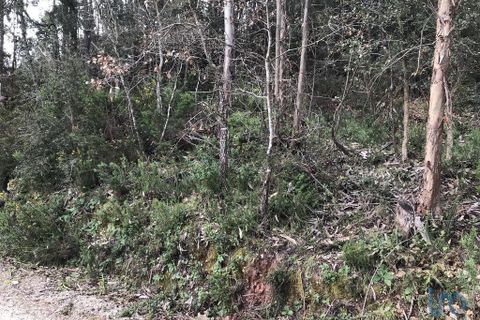 Helårsgrund i Pombal, Leiria, Pombal - € 12.000 | Ref: 114876 - foto 10