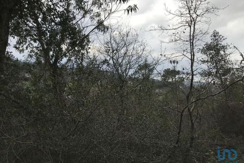 Helårsgrund i Pombal, Leiria, Pombal - € 12.000 | Ref: 114876 - foto 11