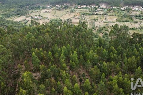 Helårsgrund i Pombal, Leiria, Pombal - € 12.000 | Ref: 114876 - foto 16