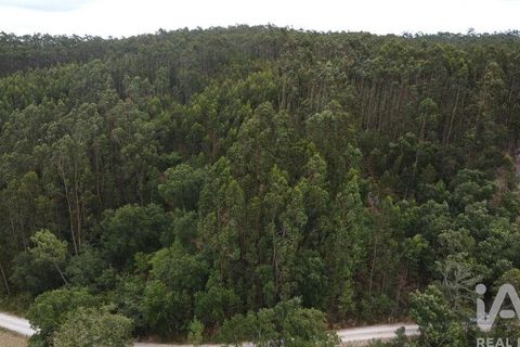 Helårsgrund i Pombal, Leiria, Pombal - € 12.000 | Ref: 114876 - foto 17