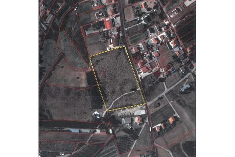 Helårsgrund i Torres Vedras, Lisbon, Torres Vedras - € 500.000 | Ref: 98355MM - foto 2