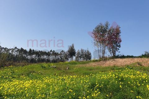 Helårsgrund i Torres Vedras, Lisbon, Torres Vedras - € 500.000 | Ref: 98355MM - foto 3