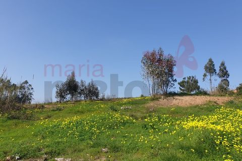 Helårsgrund i Torres Vedras, Lisbon, Torres Vedras - € 500.000 | Ref: 98355MM - foto 4