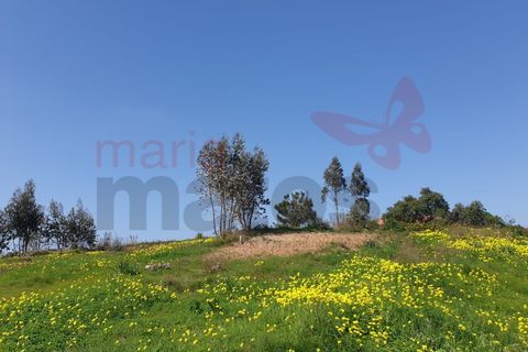Helårsgrund i Torres Vedras, Lisbon, Torres Vedras - € 500.000 | Ref: 98355MM - foto 6